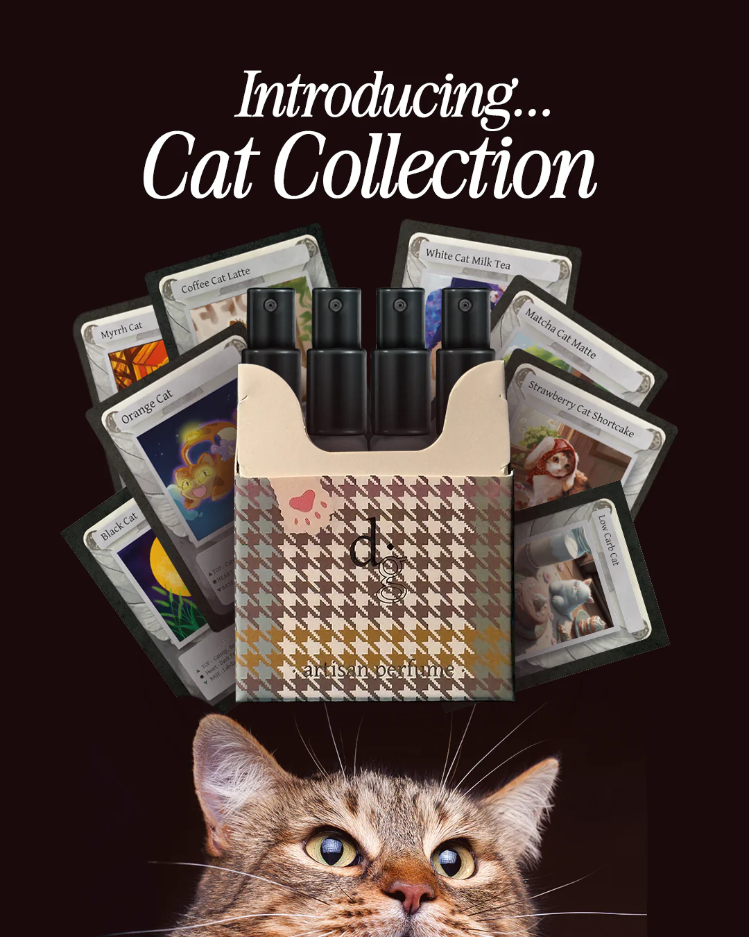 Best Seller 2025